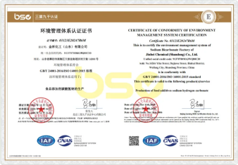 Certificate 4